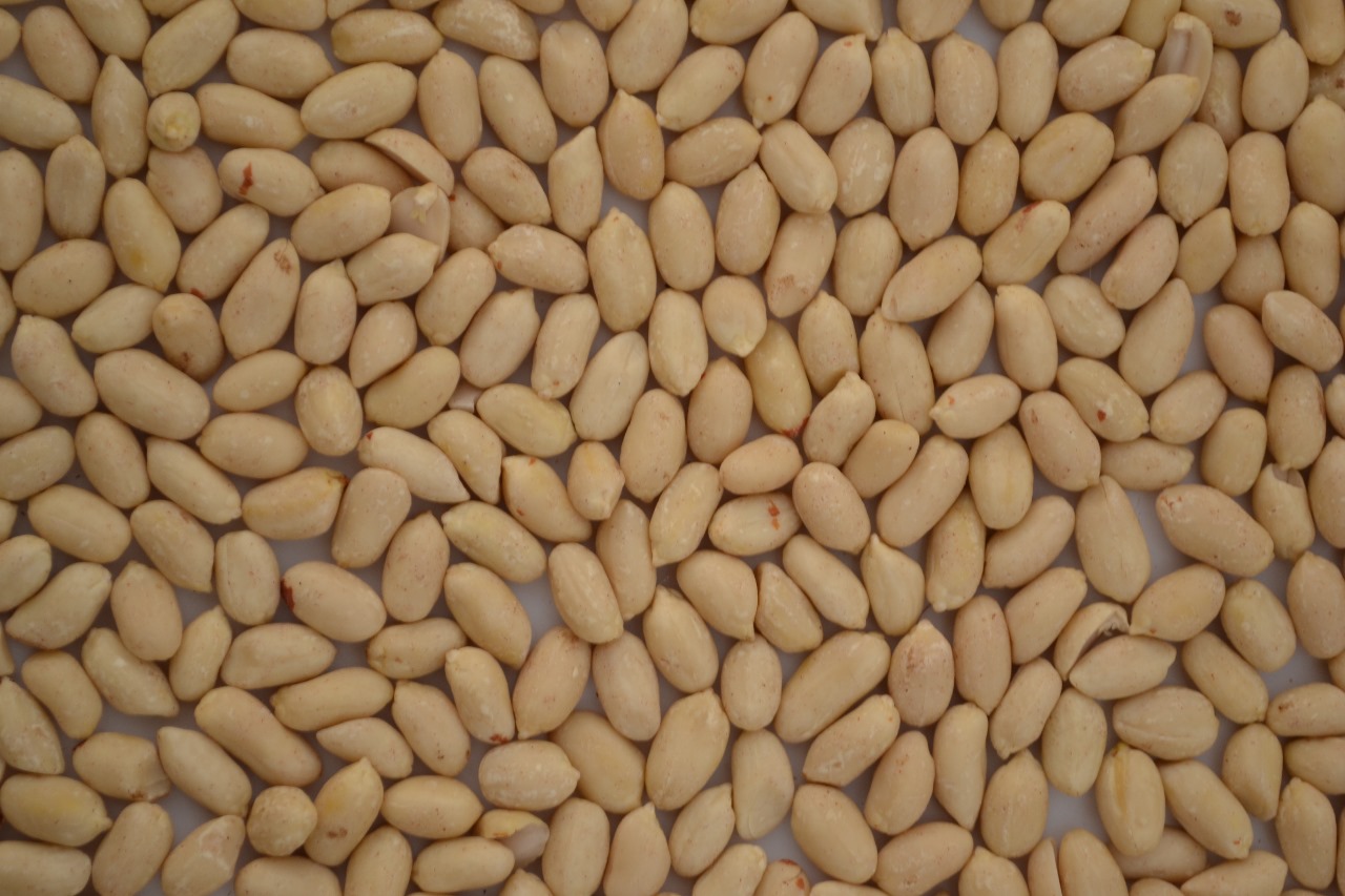 Salted Roasted Peanuts